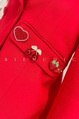 Broches Prendedores acc